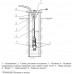 Насос погружной вибрационный Ручеёк-1 верхний забор алюминий, кабель 25 м