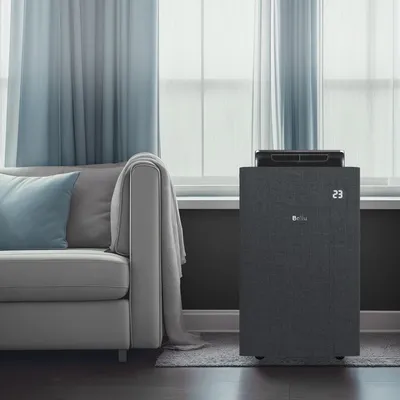 Кондиционер мобильный Ballu Velure BPAC-14 EW/N6