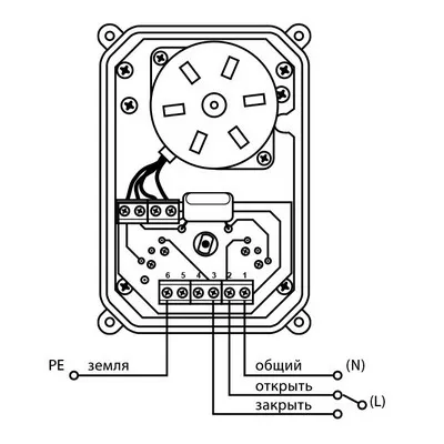 Кран шаровой с электроприводом Bugatti Pro 220В 2" Neptun (Нептун) 2153571