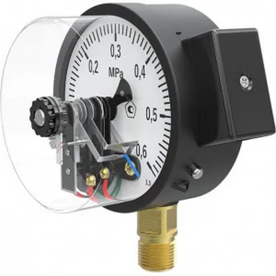 Манометр EctoControl НИЖ. 0-6 бар (0-0,6 MПа) 1/2" Ø100 мм Es-Maga-06