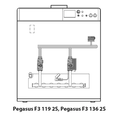 Котёл газовый Ferroli Pegasus F3 N 119 2S 0E2L8AWA
