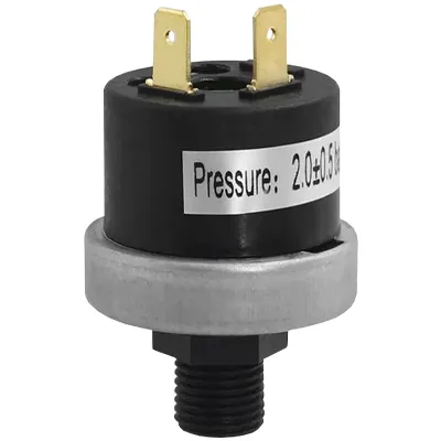 Реле давления воды прессостат 0,4-2 бар 1/4" (XP600, XP602, XP605, 9951690, 995903, 39806180, 49003163, 549000041), PS-M21