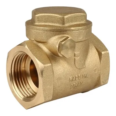 Клапан обратный с внутренней резьбой ВВ 1" дисковый Itap 1300100M