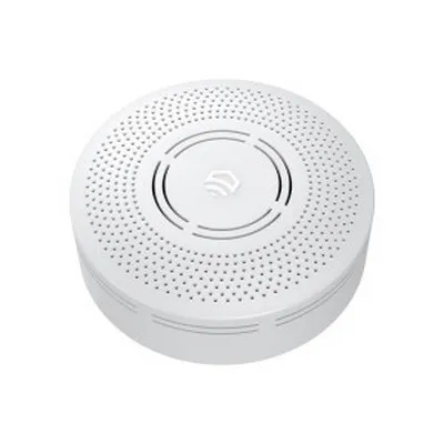 Датчик утечки угарного газа (CO) беспроводной EctoControl Es-Gard-01 ec01068