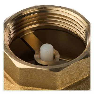 Клапан обратный с внутренней резьбой ВВ 11/4" с пластиковым затвором Stout SVC-0002-000032