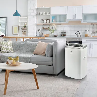 Кондиционер мобильный Ballu Platinum Comfort BPHS-13H