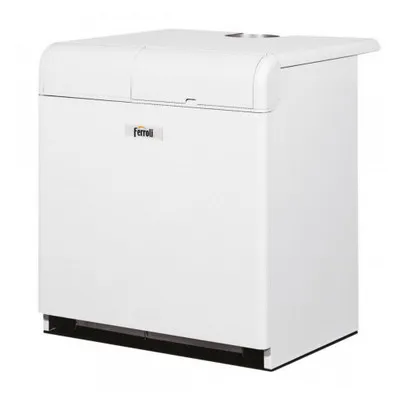 Котёл газовый Ferroli Pegasus 97 2S 0E4LAAWA