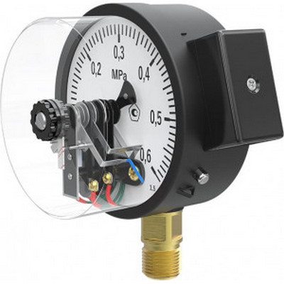 Манометр радиальный 0-6 бар (0-0,6 MПа) 1/2" Ø100 мм EctoControl Es-Maga-06 ec01010