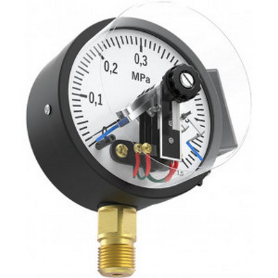 Манометр радиальный 0-6 бар (0-0,6 MПа) 1/2" Ø100 мм EctoControl Es-Maga-06 ec01010